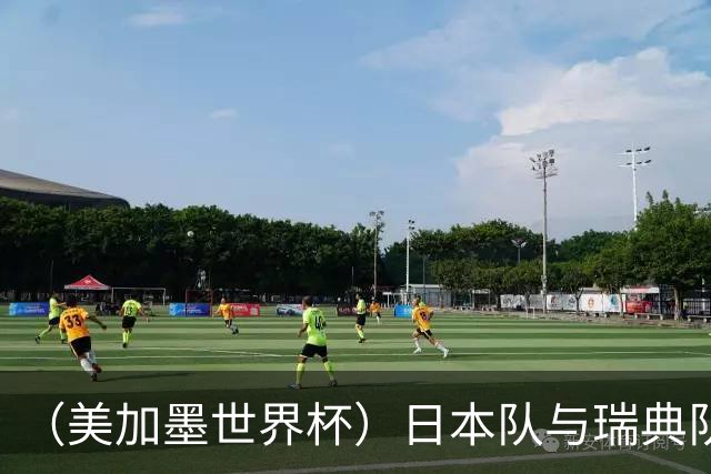（美加墨世界杯）日本队与瑞典队“握手言和” 成为首支出线亚洲球队